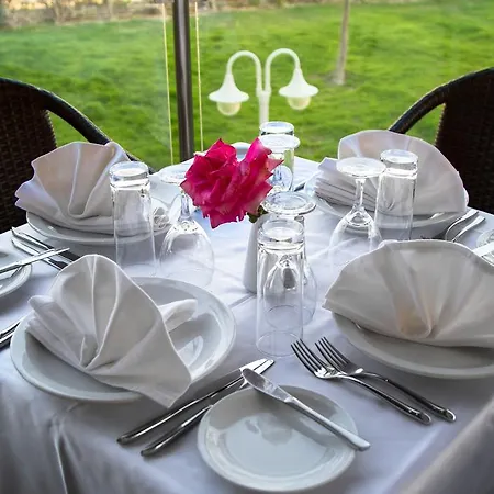 Sun Palace فندق 4*