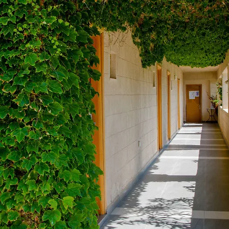 Отель Sun Palace 4*