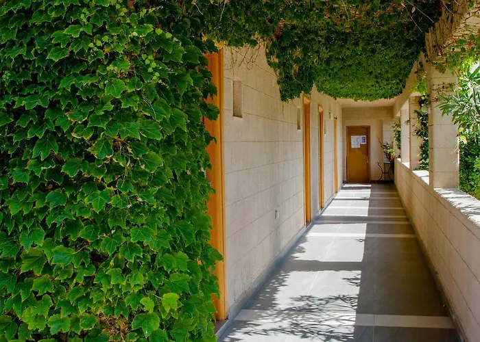 Sun Palace Отель